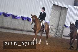21YN_67111 proof