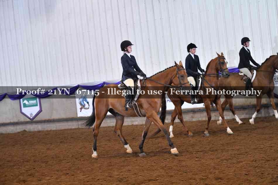 Proof 21YN_67115