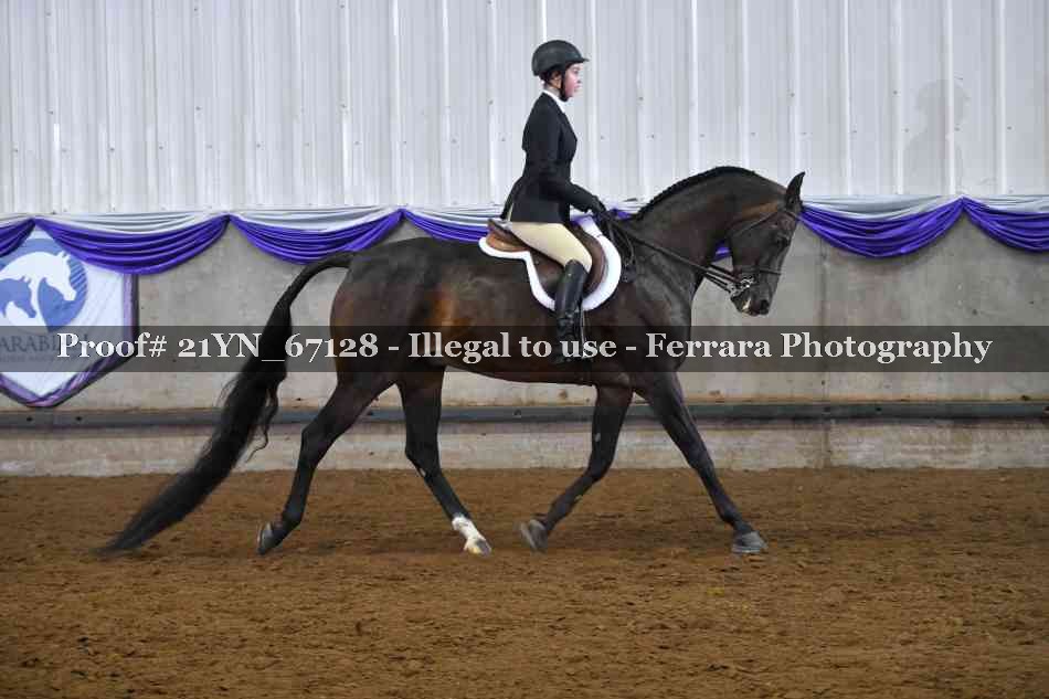 Proof 21YN_67128