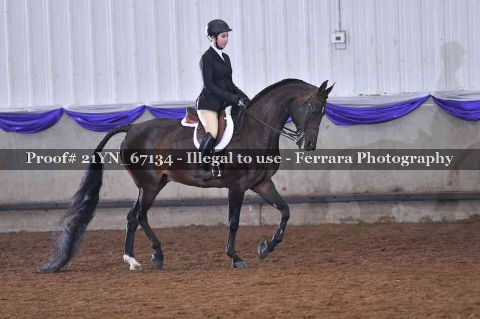 Proof 21YN_67134