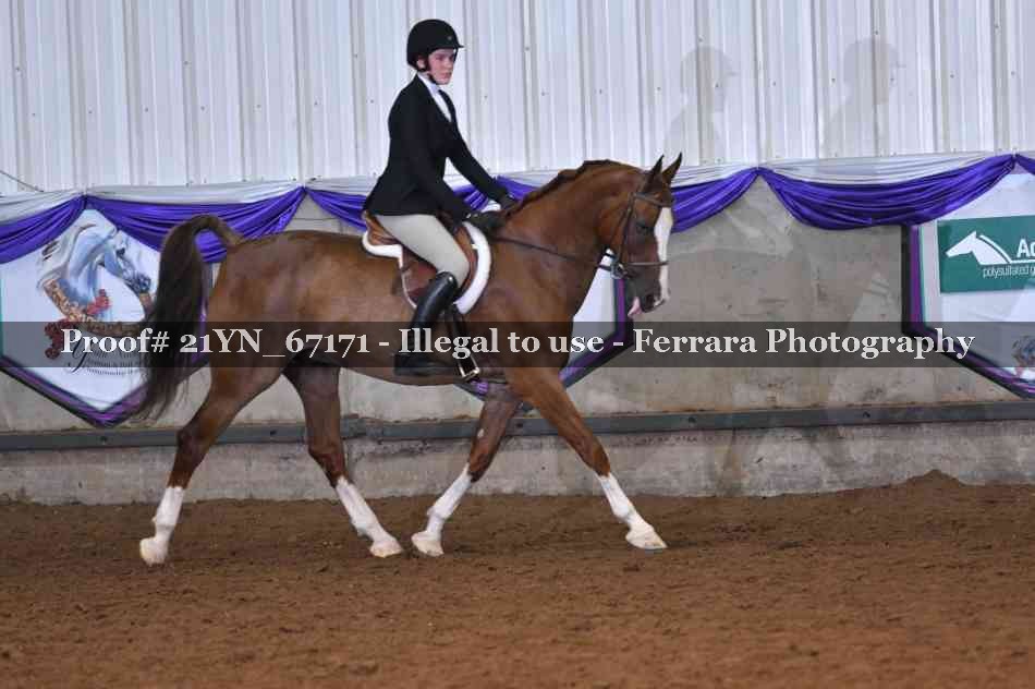 Proof 21YN_67171