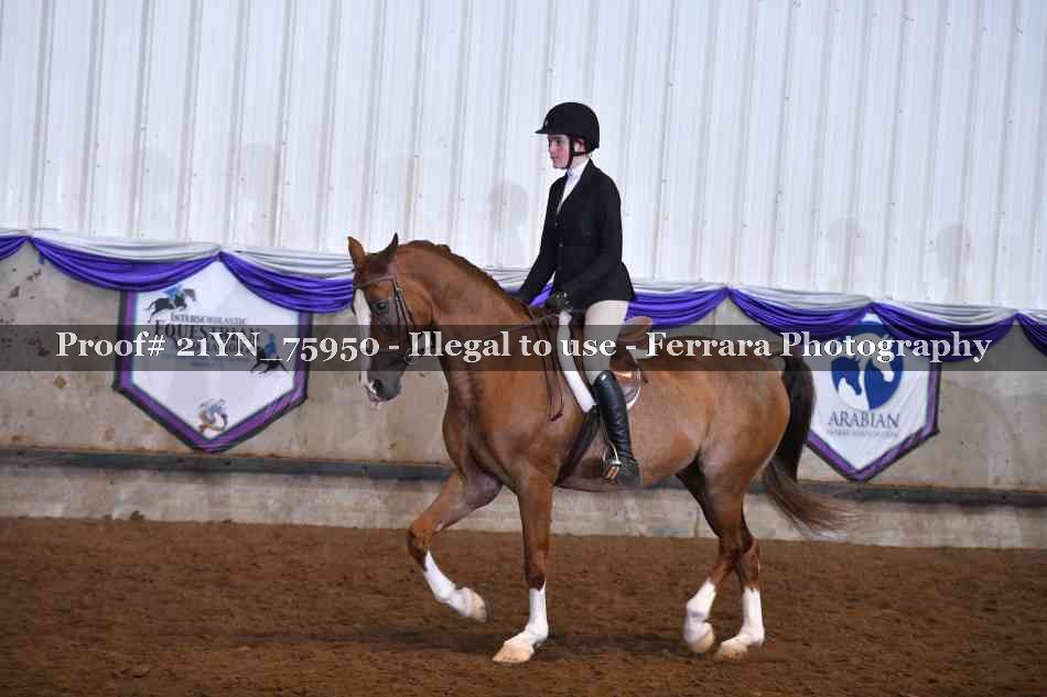 Proof 21YN_75950