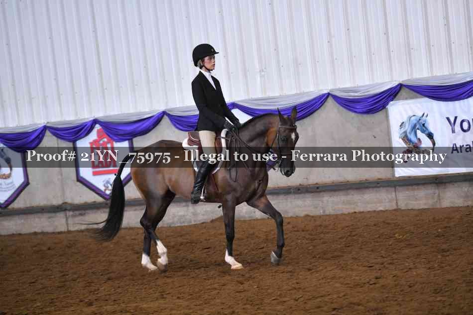 Proof 21YN_75975