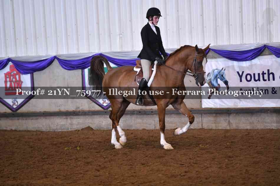 Proof 21YN_75977