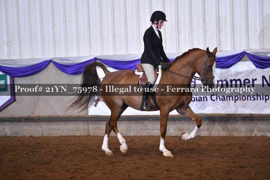 Proof 21YN_75978