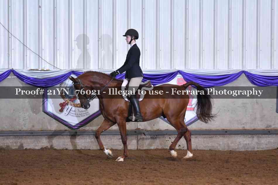 Proof 21YN_76021