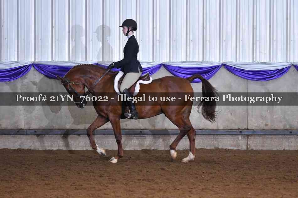 Proof 21YN_76022