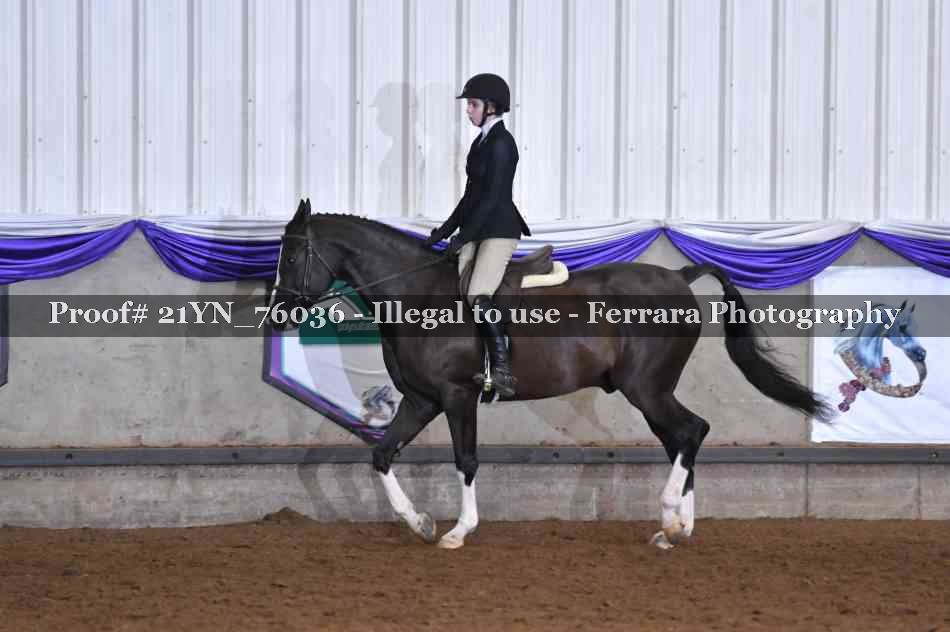 Proof 21YN_76036