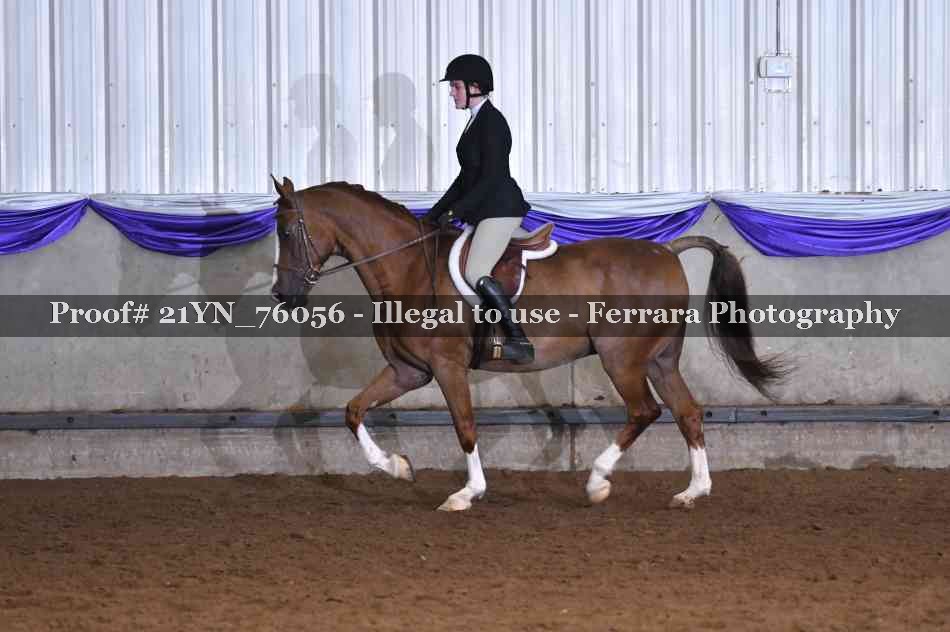 Proof 21YN_76056