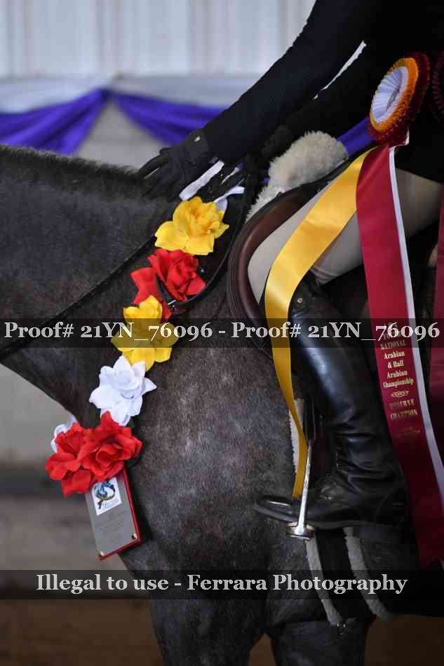 Proof 21YN_76096