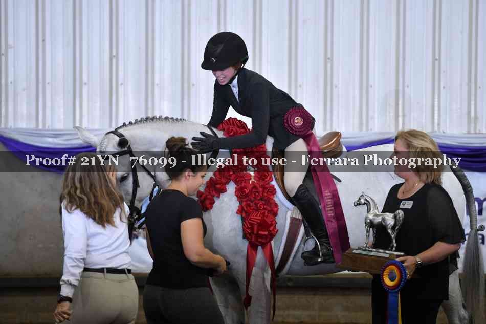 Proof 21YN_76099