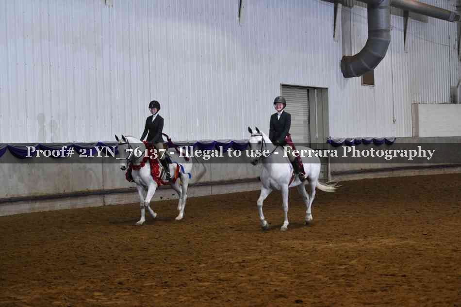 Proof 21YN_76137
