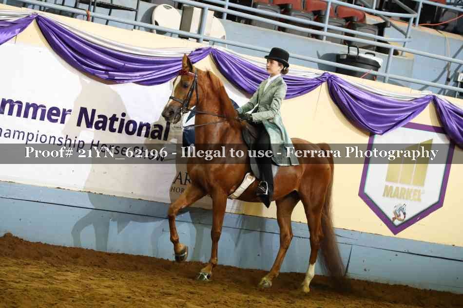 Proof 21YN_62196