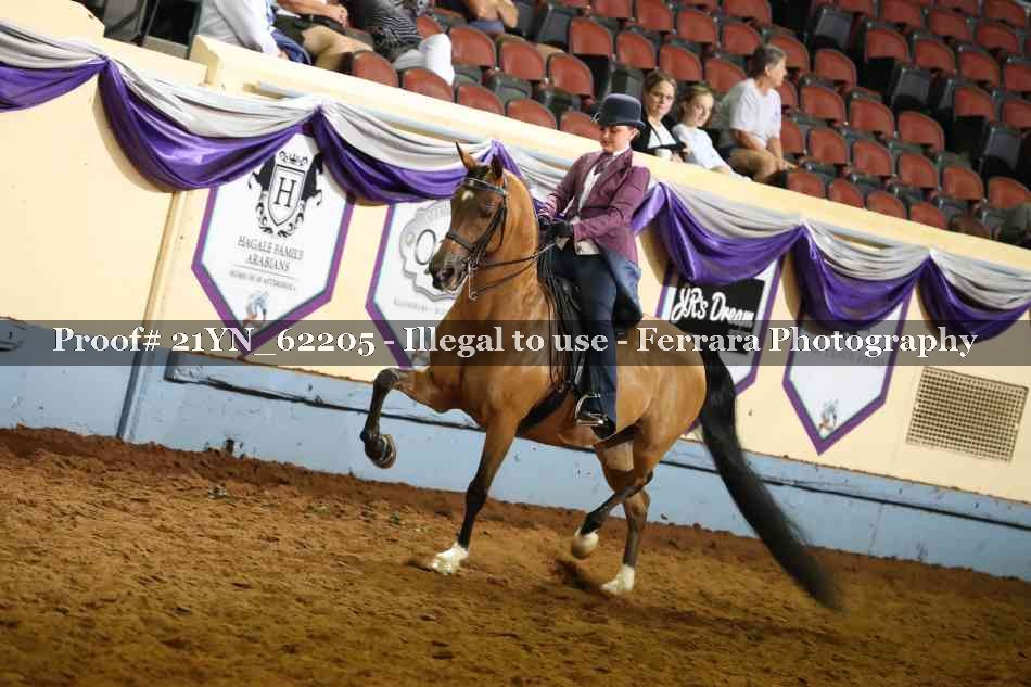 Proof 21YN_62205
