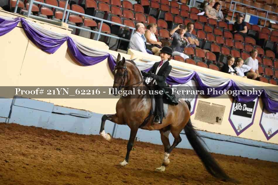 Proof 21YN_62216