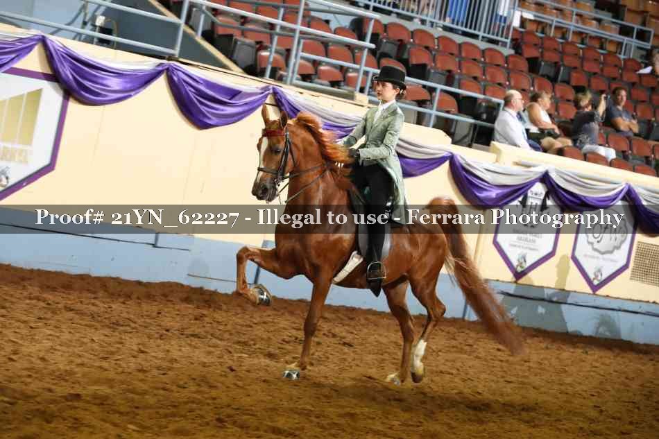 Proof 21YN_62227