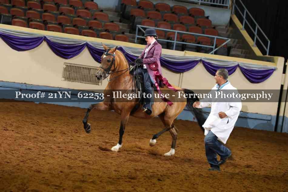 Proof 21YN_62253