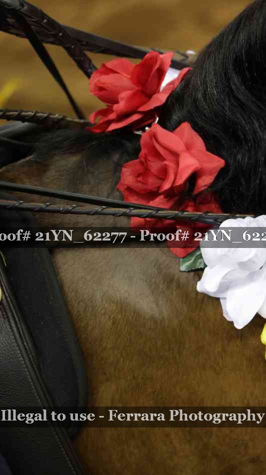 Proof 21YN_62277
