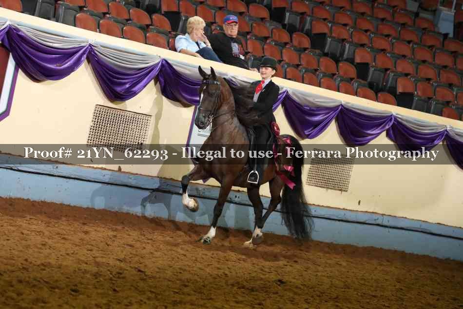 Proof 21YN_62293