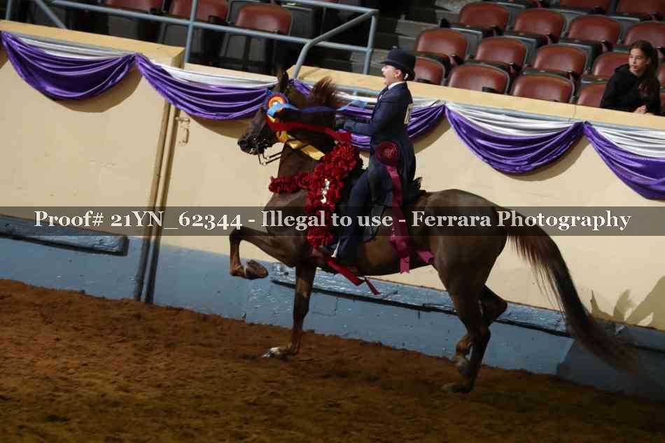 Proof 21YN_62344