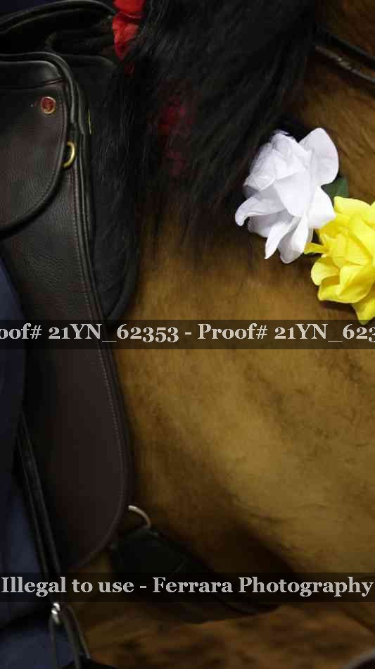 Proof 21YN_62353
