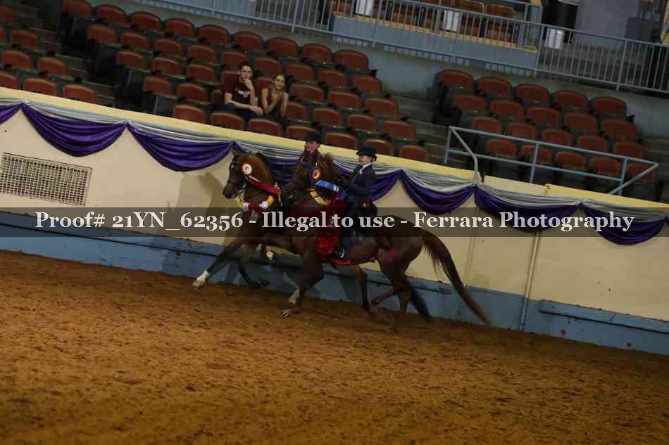Proof 21YN_62356