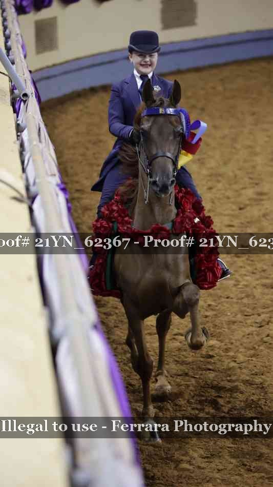 Proof 21YN_62367