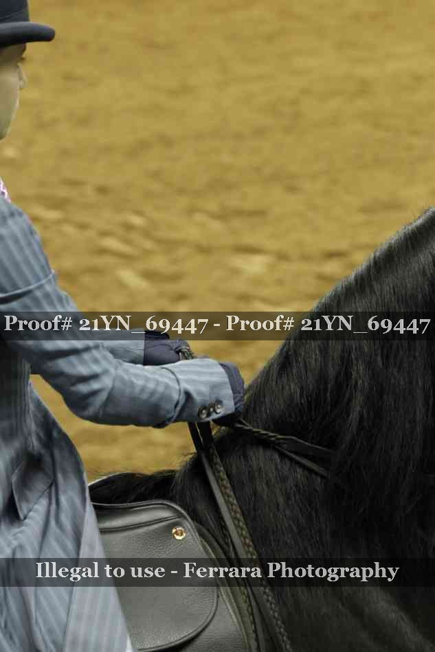 Proof 21YN_69447