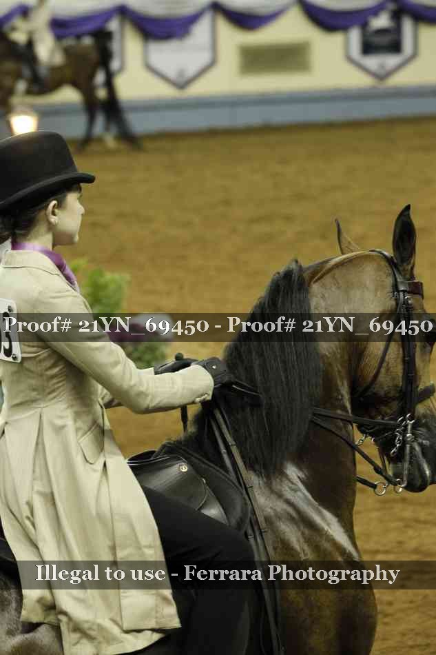Proof 21YN_69450