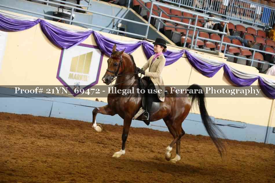 Proof 21YN_69472