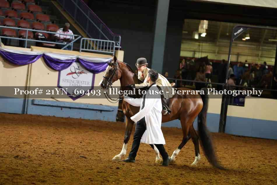 Proof 21YN_69493
