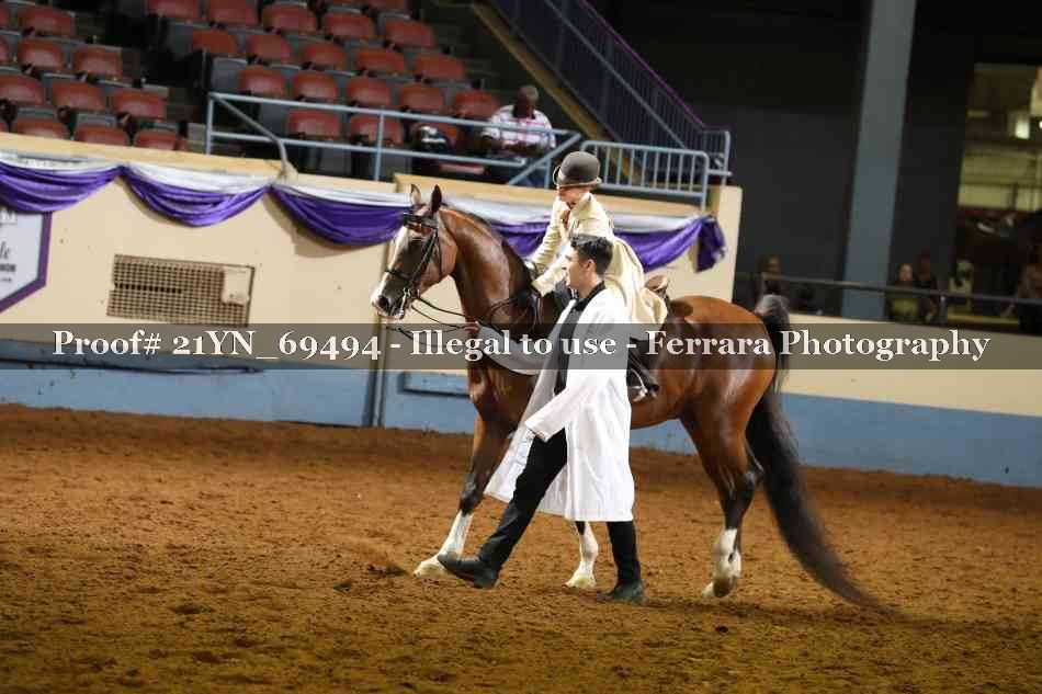 Proof 21YN_69494