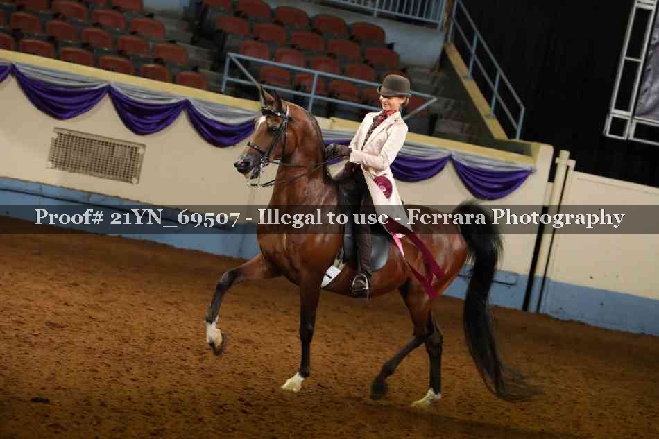 Proof 21YN_69507