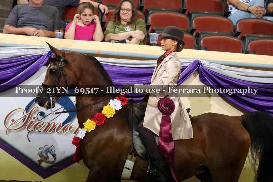 Proof 21YN_69517
