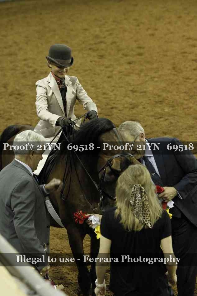 Proof 21YN_69518