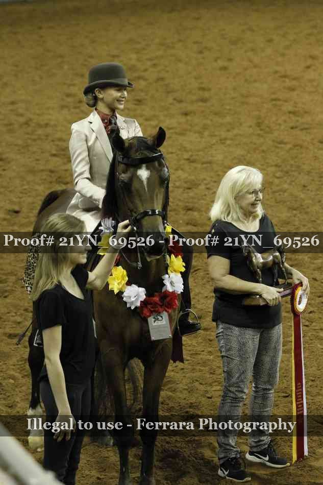 Proof 21YN_69526