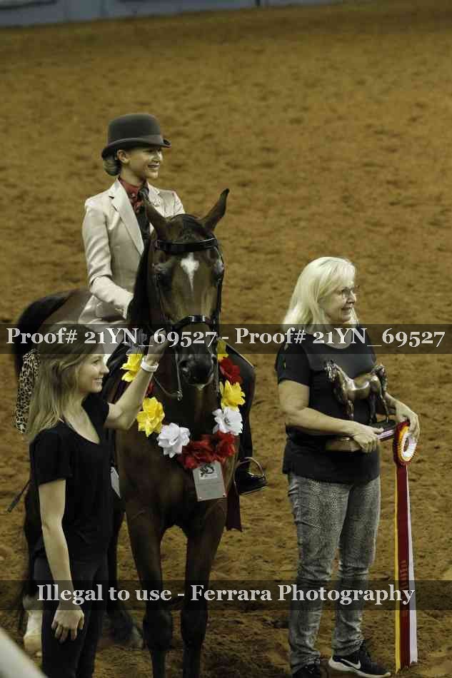Proof 21YN_69527