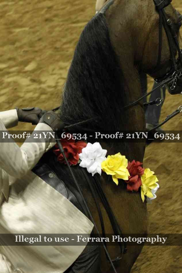 Proof 21YN_69534
