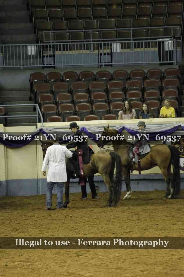 Proof 21YN_69537