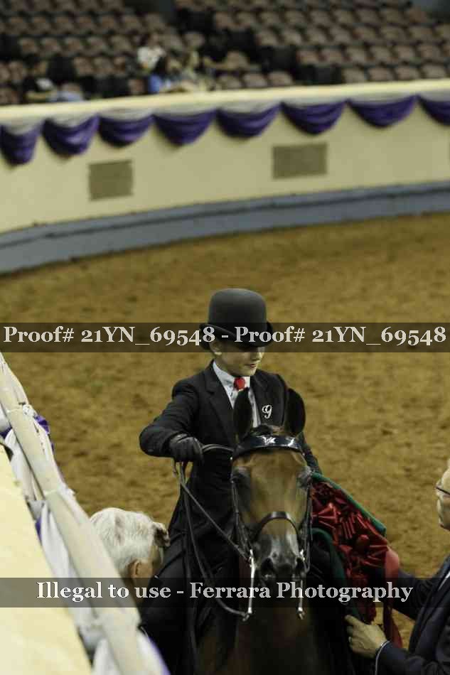 Proof 21YN_69548