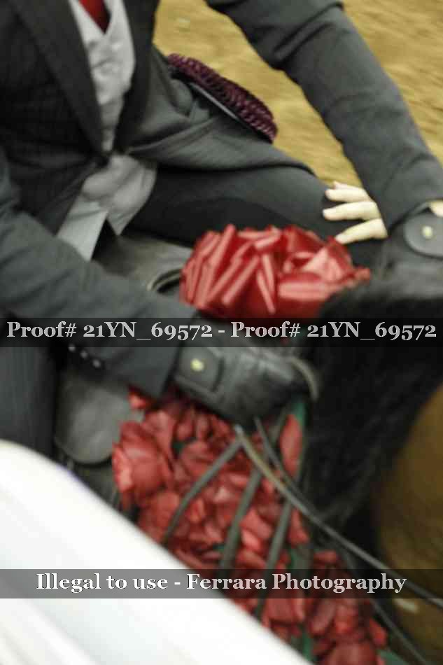 Proof 21YN_69572