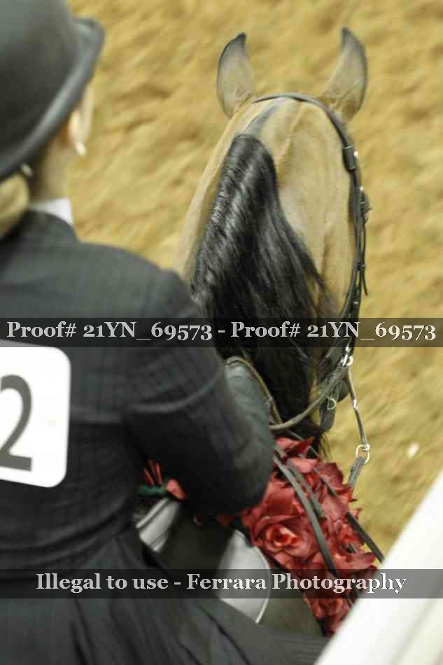 Proof 21YN_69573