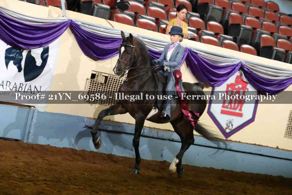 Proof 21YN_69586