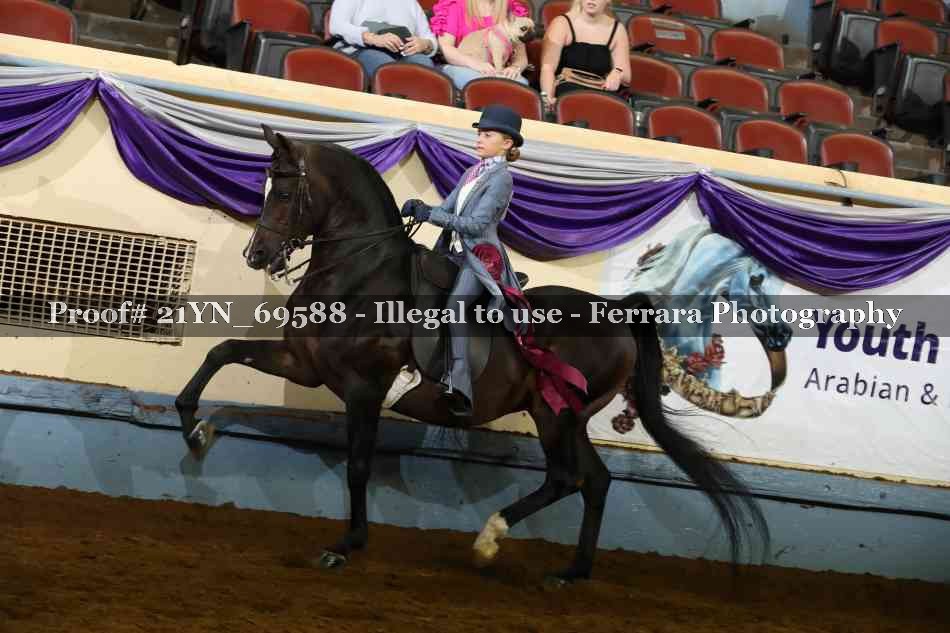 Proof 21YN_69588