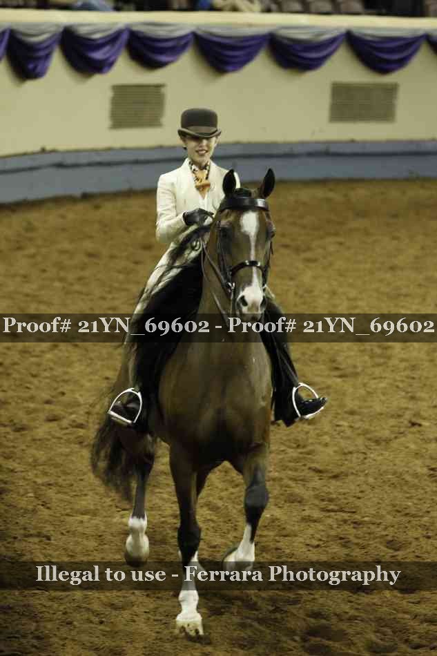 Proof 21YN_69602