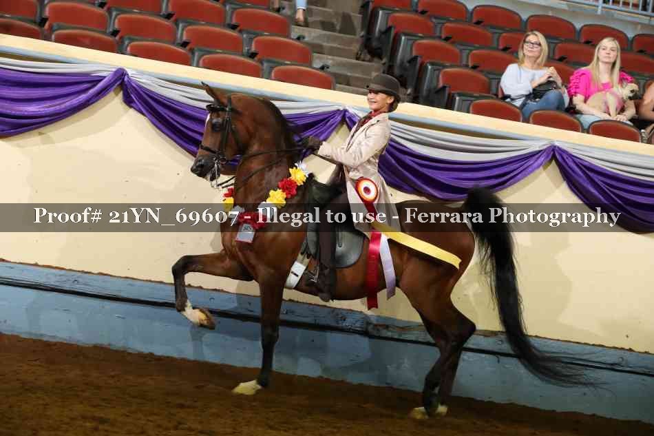 Proof 21YN_69607