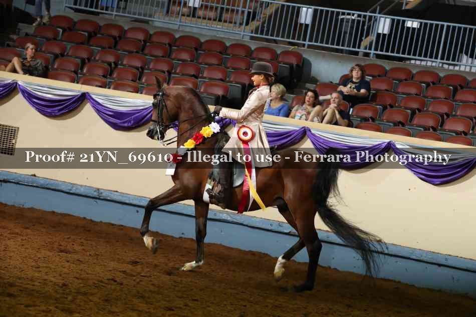Proof 21YN_69610
