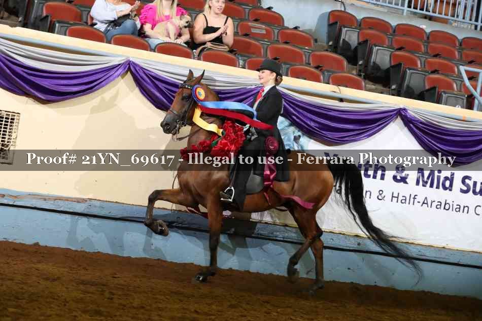 Proof 21YN_69617
