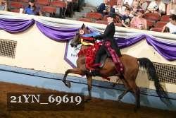 21YN_69619 proof
