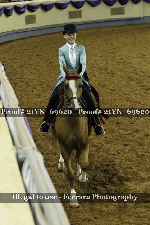 Proof 21YN_69620